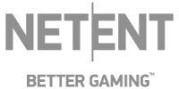 Visa partner logo